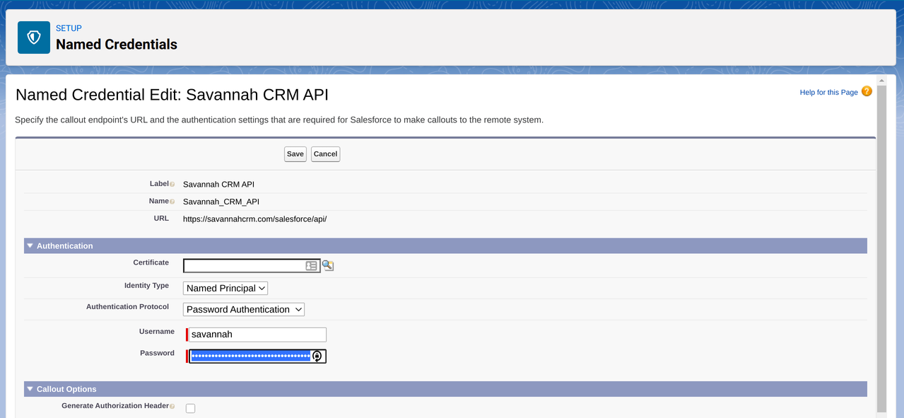 sfdc_namedcredential_form.png